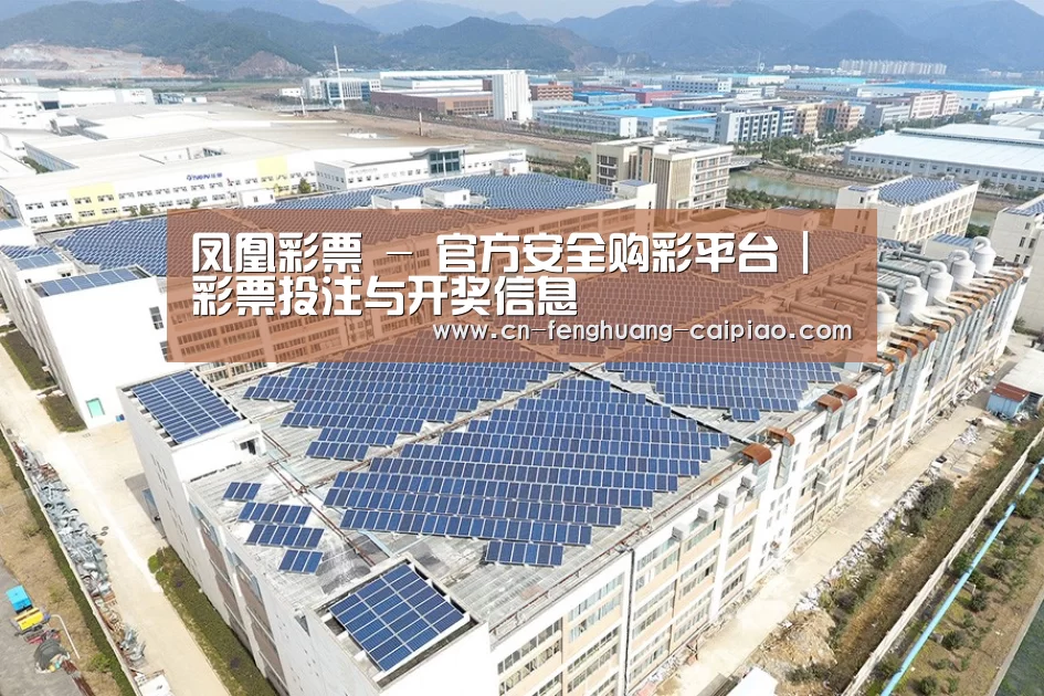 案例展示一