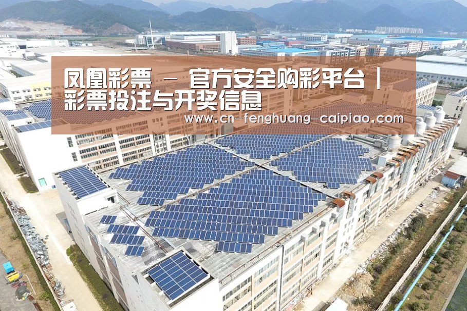 案例展示三