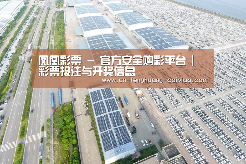 案例展示一