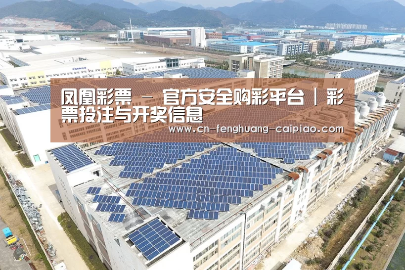 案例展示四