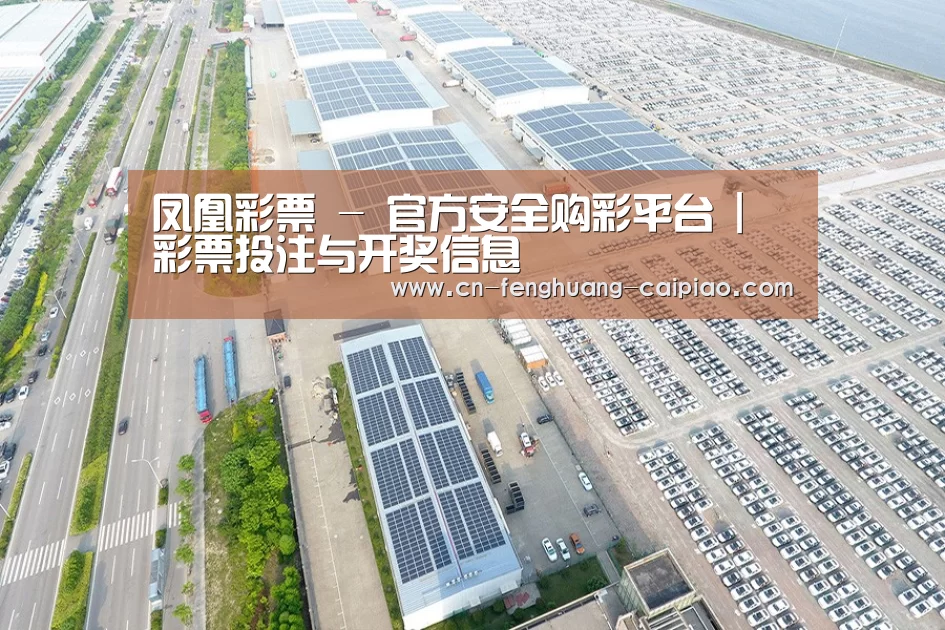 案例展示四