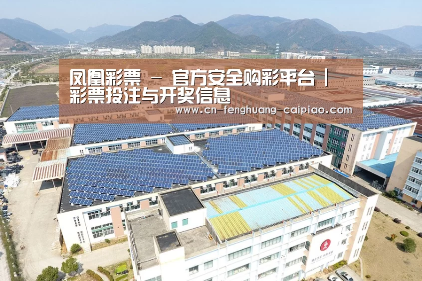 案例展示三