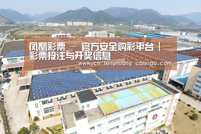 案例展示三